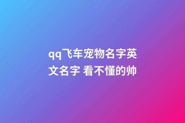 qq飞车宠物名字英文名字 看不懂的帅